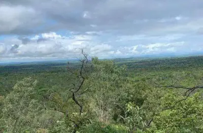Fazenda à venda, area rural de formosa do rio preto - ba - formosa do rio preto/ba