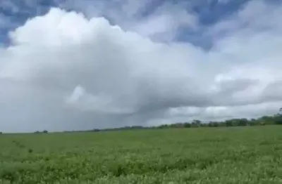 Chácara / sítio à venda na Zona Rural, Zona Rural, Acreúna