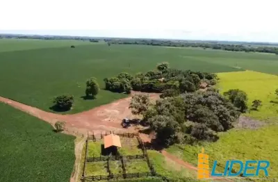 Chácara / sítio à venda na Zona Rural, Zona Rural, Acreúna