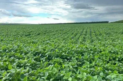 Chácara / sítio à venda na Zona Rural, Zona Rural, Paraúna