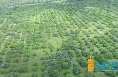 Chácara / sítio à venda na Zona Rural, Área Rural de Teresina, Teresina