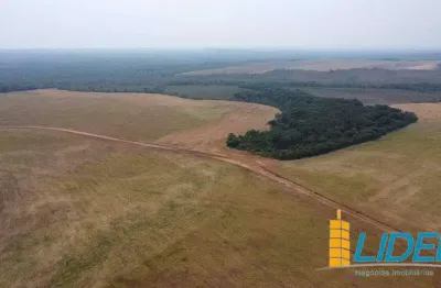 Fazenda à venda, AREA RURAL DE BARRA DO OURO - TO - Barra do Ouro/TO