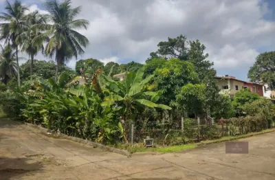 Terreno à venda na Rua Lima Borges, Pituaçu, Salvador