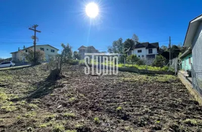 Terreno à venda na Rua Marechal Mascarenhas De Moraes, sn, Triângulo, Carlos Barbosa