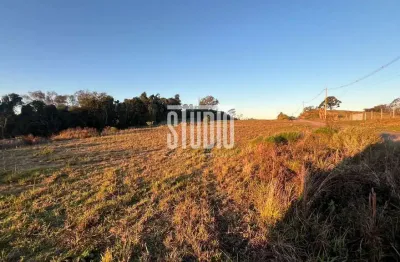 Terreno à venda em São Paulo, Carlos Barbosa 