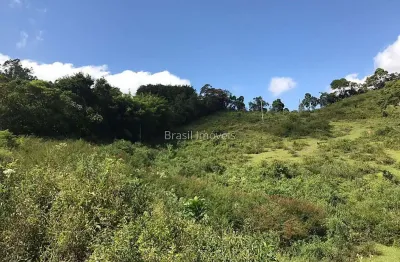 Terreno à venda na Rua Vicente Gávio, Paula Lima, Juiz de Fora