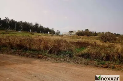 Terreno comercial à venda na Alameda Itatinga, Joapiranga, Valinhos