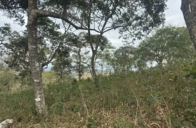 Vende-se terreno com excelente topografia, ideal para construção de chácara