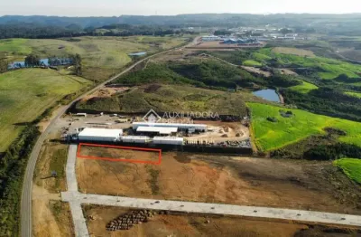 Terreno à venda na rs 020, 111, primeiro distrito, são francisco de paula, 4415 m2 por r$ 750.000