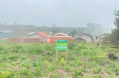 Terreno à venda na giselda pinto dos santos, 3, cipó, são francisco de paula, 360 m2 por r$ 130.000