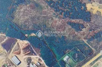 Terreno à venda na rs 020, 01, primeiro distrito, são francisco de paula, 50000 m2 por r$ 2.500.000