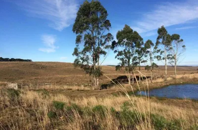 Fazenda à venda na getúlio vargas, 937, 0001, centro, cambará do sul, 15000 m2 por r$ 700.000