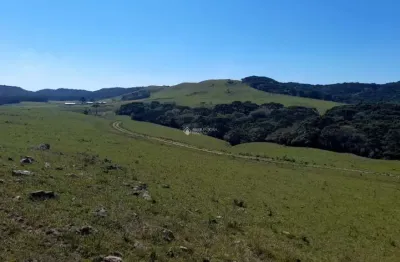 Fazenda à venda na getúlio vargas, 937, centro, cambará do sul, 1760000 m2 por r$ 5.200.000