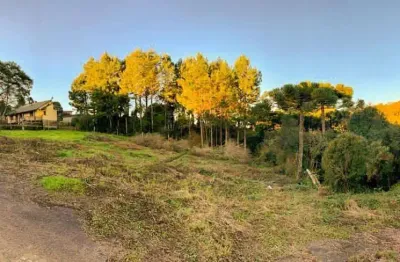 Terreno à venda na xavantes, 001, são bernardo, são francisco de paula, 840 m2 por r$ 406.000