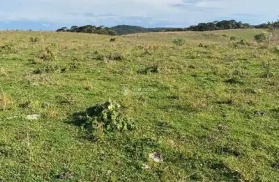 Terreno comercial à venda na getúlio vargas, 937, 1000, centro, cambará do sul, 3180000 m2 por r$ 7.950.000