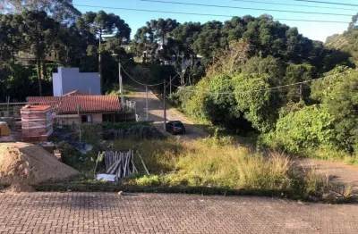 Terreno à venda na das camélias, 100010, centro, são francisco de paula, 250 m2 por r$ 150.000