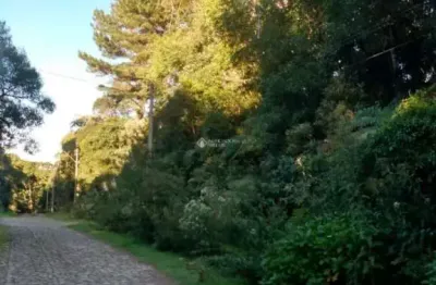 Terreno à venda na dos alpes, 10009, centro, são francisco de paula, 600 m2 por r$ 85.000