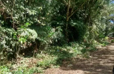 Terreno à venda na são gotardo, 1006, centro, são francisco de paula, 4560 m2 por r$ 1.280.000