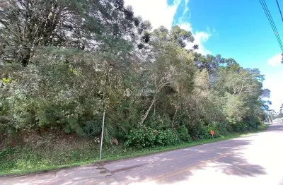 Terreno à venda na alziro torres filho, 1001, centro, são francisco de paula, 3736 m2 por r$ 1.800.000