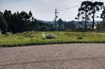 Terreno à venda na conselho comunitário, 200, centro, são francisco de paula, 1054 m2 por r$ 373.000