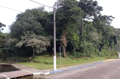 Terreno à venda na alziro torres filho, 0002, centro, são francisco de paula, 1719 m2 por r$ 480.000