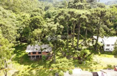 Terreno à venda na odon cavalcanti, 337, centro, são francisco de paula, 4823 m2 por r$ 1.400.000