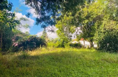 Terreno à venda na santos dumont, 825, centro, são francisco de paula, 774 m2 por r$ 800.000