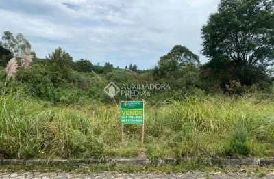 Terreno à venda na giselda pinto dos santos, 7, cipó, são francisco de paula, 360 m2 por r$ 140.000