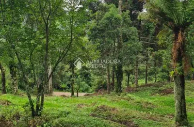 Terreno à venda na do pessegueiro, 1, centro, são francisco de paula, 3400 m2 por r$ 180.000