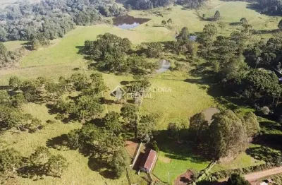 Fazenda à venda na são francisco, 1, centro, são francisco de paula, 370000 m2 por r$ 1.750.000