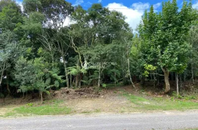 Terreno à venda na dos alpes, 6, centro, são francisco de paula, 479 m2 por r$ 150.000