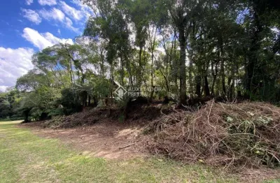 Terreno à venda na Dos Alpes, 5, Centro, São Francisco de Paula, 630 m2 por R$ 175.000