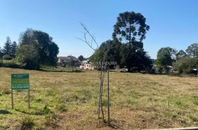 Terreno à venda na benjamin constant, 2, centro, são francisco de paula, 376 m2 por r$ 212.000