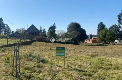 Terreno à venda na benjamin constant, 4, centro, são francisco de paula, 376 m2 por r$ 212.000