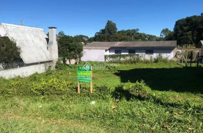 Terreno à venda na coronel serrano, 163, centro, são francisco de paula, 667 m2 por r$ 1.378.000