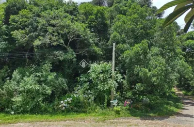Terreno à venda na dos alpes, 87, são bernardo, são francisco de paula, 1040 m2 por r$ 190.000