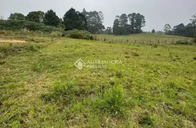 Terreno à venda na giselda pinto dos santos, 78, cipó, são francisco de paula, 420 m2 por r$ 159.000