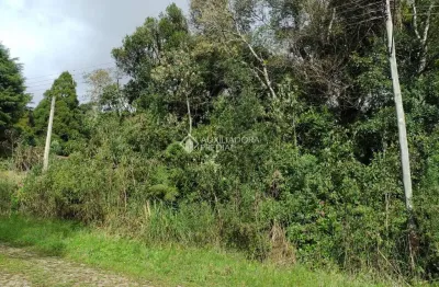 Terreno à venda na mata atlântica, 60, alpes, são francisco de paula, 600 m2 por r$ 98.000