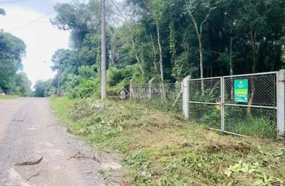 Terreno à venda na são gotardo, 45, são bernardo, são francisco de paula, 967 m2 por r$ 240.000