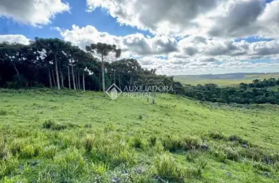 Terreno à venda na lote 05, 100, barragem do salto, são francisco de paula, 50000 m2 por r$ 480.000