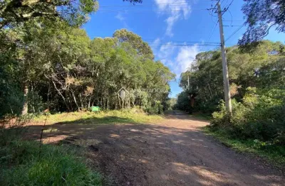Terreno à venda na quatis, 100, colinas, são francisco de paula, 1413 m2 por r$ 220.000
