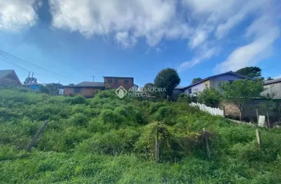 Terreno à venda na paraguai, 101, rincão dos kroeff, são francisco de paula, 239 m2 por r$ 159.000