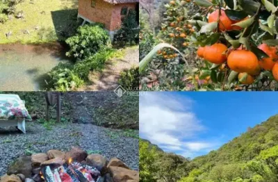 Fazenda à venda na roça nova, 100, samambaia, são francisco de paula, 140000 m2 por r$ 1.190.000