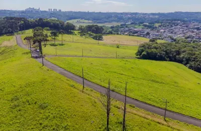 Terreno em condomínio fechado à venda na Rua das Gaivotas, 531, Ferraria, Campo Largo