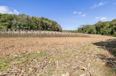 Chácara / sítio com 1 quarto à venda na Rua Sílvio Dallagrana, 1, Ferraria, Campo Largo