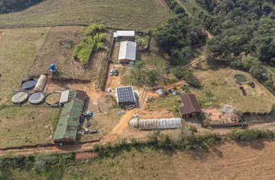 Chácara / sítio com 1 quarto à venda na Rua Sílvio Dallagrana, 6700, Vila David Antônio, Campo Largo