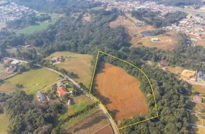 Chácara / sítio com 1 quarto à venda na Rua da Cachoeirinha, 990, Jardim Carmela, Campo Largo