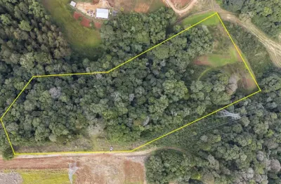 Chácara / sítio com 1 quarto à venda na Rua José Ali Manfron, 10, Centro, Campo Magro