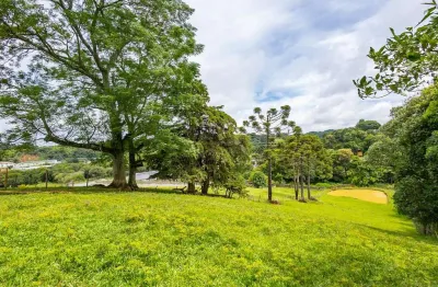 Chácara / sítio com 4 quartos à venda na Avenida Nossa Senhora Da Aparecida, 600, Jardim Santa Nely, Campo Largo