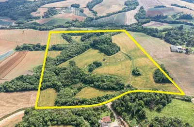 Chácara / sítio com 1 quarto à venda na Rua Estanislau Lalico, 150, Vila Dom Pedro II, Campo Largo